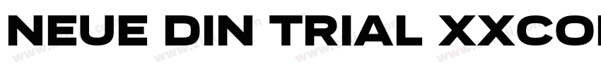 NEUE DIN TRIAL XXCON字体转换